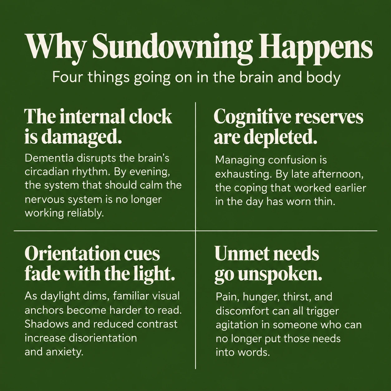 Why Sundowning Happens: four mechanisms behind late-day symptoms in dementia — damage to the internal clock, depleted cognitive reserves, fading orientation cues, and unmet needs.
